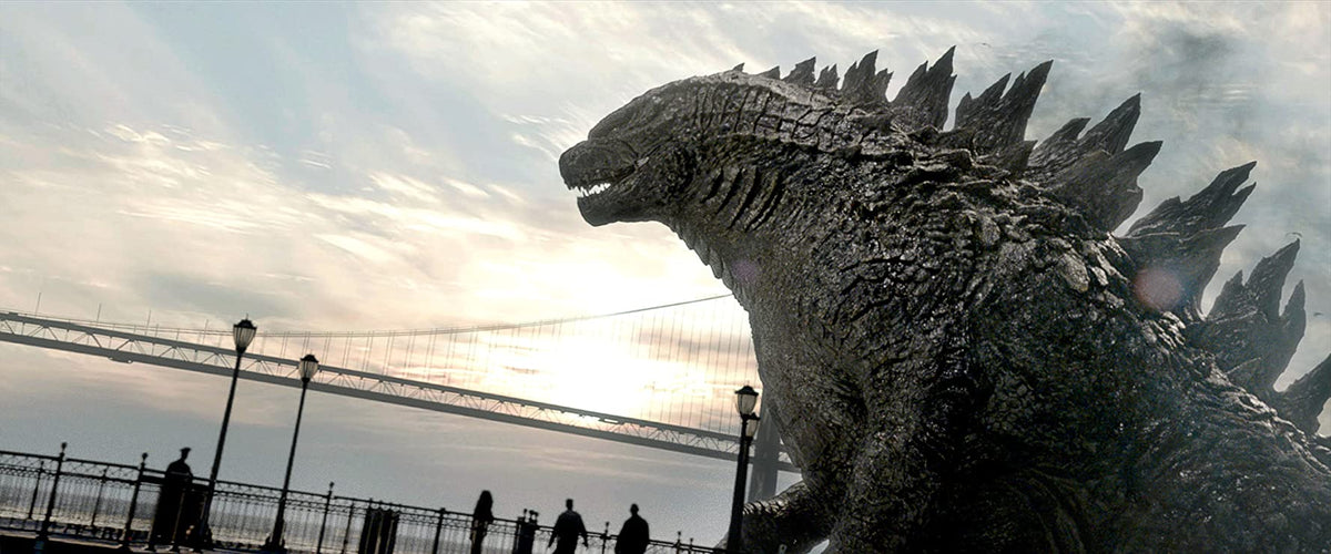 Godzilla [DVD] DVDs & Blu-Rays Warner Bros.   