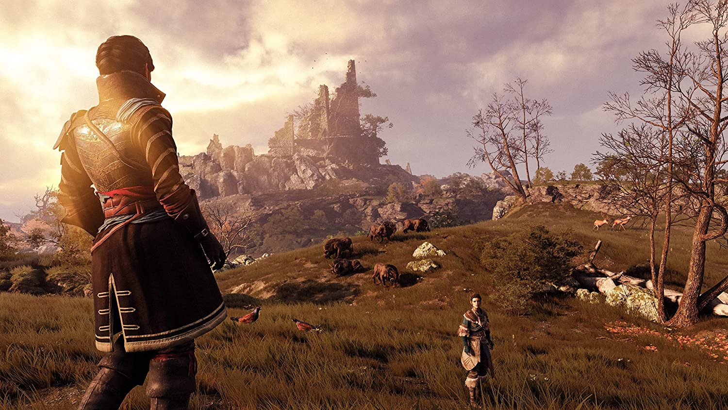 GreedFall - Gold Edition [Xbox One / Xbox Series X] Xbox Series X Video Game Maximum Games   