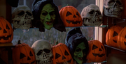 Halloween III: Season Of The Witch - Limited Edition Collectible SteelBook [Blu-Ray] DVDs & Blu-Rays Warner Bros.   
