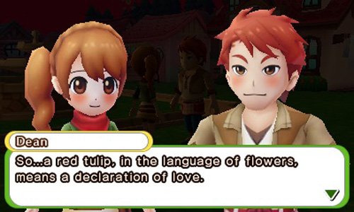 Harvest Moon: Skytree Village [Nintendo 3DS] Nintendo 3DS Video Game Natsume   