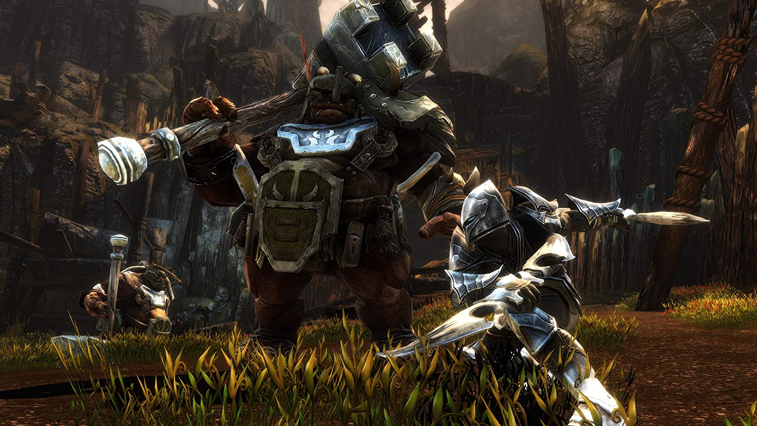Kingdoms of Amalur: Re-Reckoning [PlayStation 4] PlayStation 4 Video Game THQ Nordic   