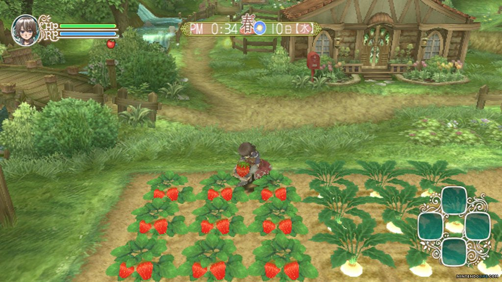 Rune Factory: Frontier [Nintendo Wii] Nintendo Wii Video Game XSEED Games   