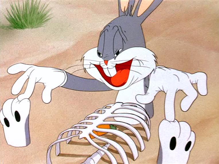 Looney Tunes Spotlight Collection: The Premiere Edition [DVD Box Set] DVDs & Blu-Rays Warner Bros.   