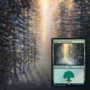 Magic: The Gathering TCG: Secret Lair Drop Series - Eldraine Wonderland - Foil Card Game Wizards of the Coast
