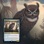 Magic: The Gathering TCG: Secret Lair Drop Series - Ornithological Studies Card Game Wizards of the Coast