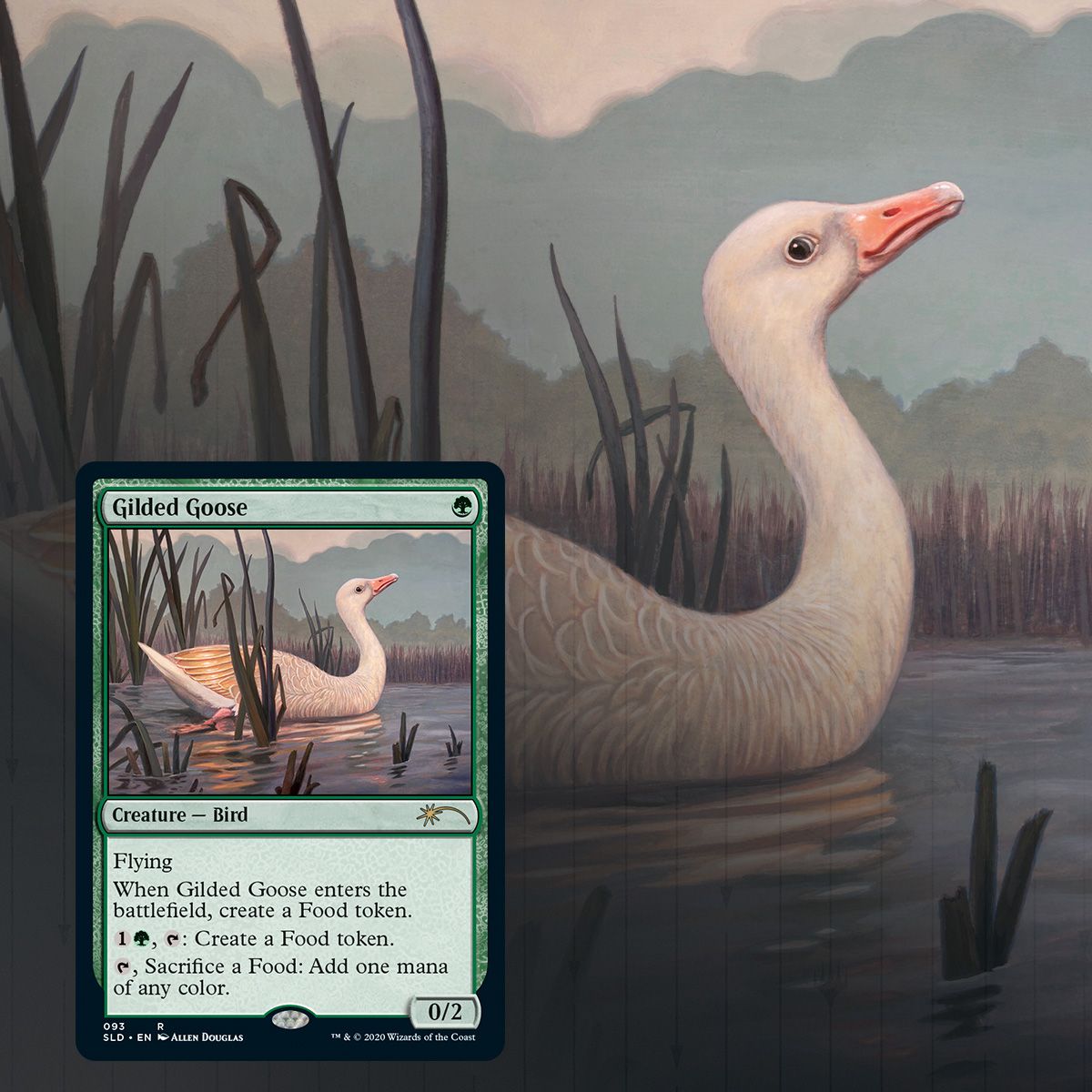 Magic: The Gathering TCG: Secret Lair Drop Series - Ornithological Studies Card Game Wizards of the Coast
