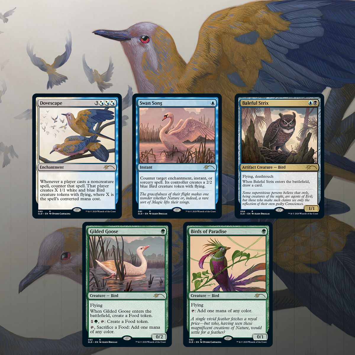 Magic: The Gathering TCG: Secret Lair Drop Series - Ornithological Studies Card Game Wizards of the Coast