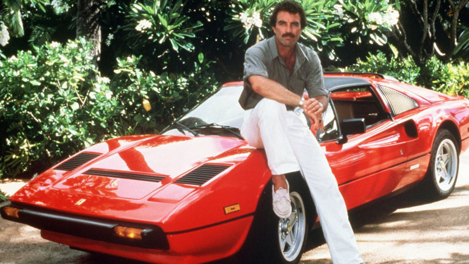 Magnum P.I.: The Complete Series - Seasons 1-8 [DVD Box Set] DVDs & Blu-Rays Universal Pictures   