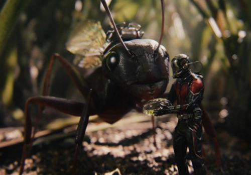 Marvel's Ant-Man and Ant-Man & The Wasp [Blu-Ray 2-Movie Collection] DVDs & Blu-Rays Marvel   