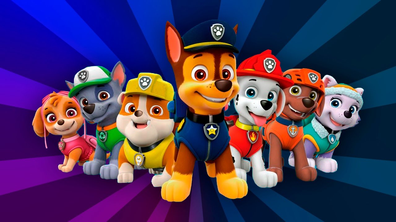 PAW Patrol: 7 Disc Party Pack - Includes 39 Episodes [DVD Box Set] DVDs & Blu-Rays Spin Master   