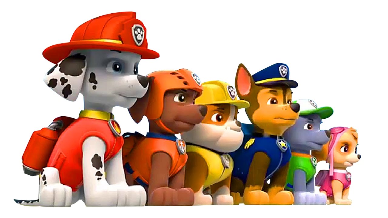 PAW Patrol: 7 Disc Party Pack - Includes 39 Episodes [DVD Box Set] DVDs & Blu-Rays Spin Master   