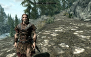 The Elder Scrolls V: Skyrim [PC] PC Video Game Bethesda   