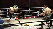 Fight Night Champion [PlayStation 3] PlayStation 3 Video Game Electronic Arts   