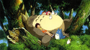 My Neighbor Totoro [Blu-ray + DVD] DVDs & Blu-Rays Studio Ghibli   