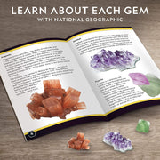 National Geographic Mega Gemstone Dig Kit Toys & Games National Geographic