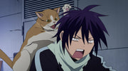 Noragami: The Complete First Season - Limited Edition [Blu-Ray + DVD Box Set] DVDs & Blu-Rays Funimation   