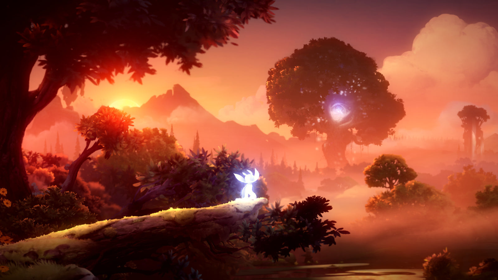 Ori and the Will of The Wisps - Collector's Edition [Xbox One] Xbox One Video Game Microsoft   