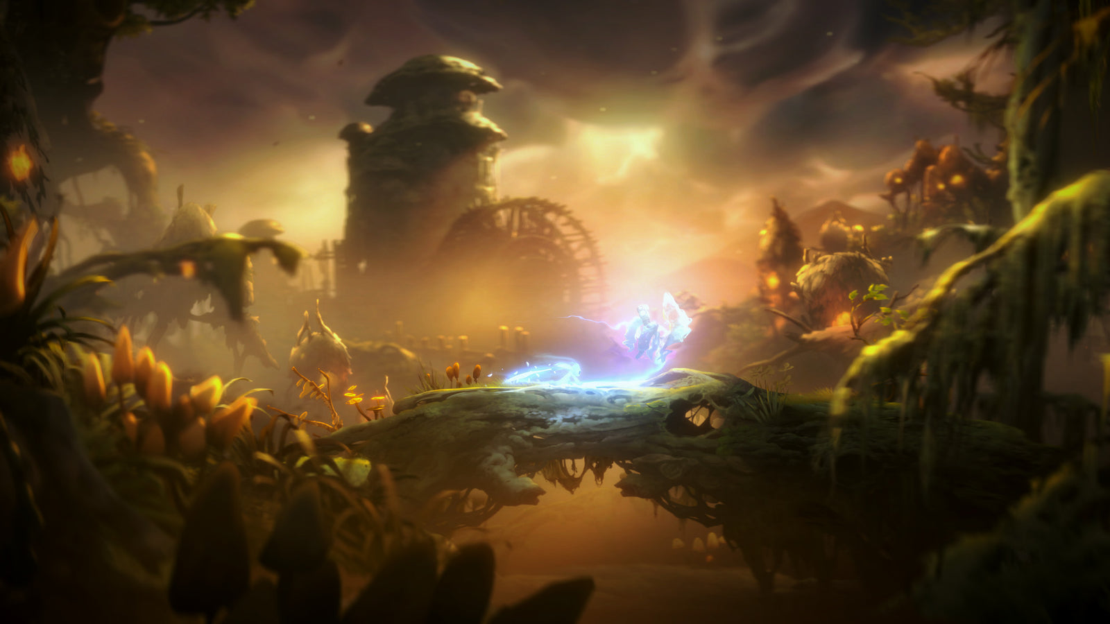 Ori and the Will of The Wisps - Collector's Edition [Xbox One] Xbox One Video Game Microsoft   
