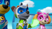 PAW Patrol: Mighty Pups - Super Paws [DVD] DVDs & Blu-Rays Elevation Pictures   