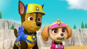 PAW Patrol: Sea Patrol [DVD] DVDs & Blu-Rays Elevation Pictures   
