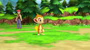 Pokemon Brilliant Diamond [Nintendo Switch] Nintendo Switch Video Game Nintendo   