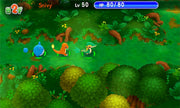 Pokemon Super Mystery Dungeon [Nintendo 3DS] Nintendo 3DS Video Game Nintendo   