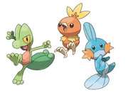 Pokemon TCG: 25th Anniversary First Partner Pack - Hoenn Card Game Pokemon