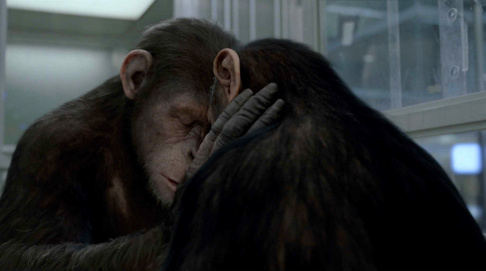 Rise Of The Planet Of The Apes [DVD] DVDs & Blu-Rays 20th Century Fox   