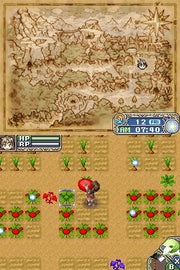 Rune Factory: A Fantasy Harvest Moon [Nintendo DS DSi] Nintendo DS DSi Video Game Natsume   