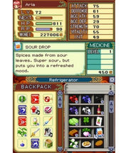 Rune Factory 2: A Fantasy Harvest Moon [Nintendo DS DSi] Nintendo DS DSi Video Game Natsume   