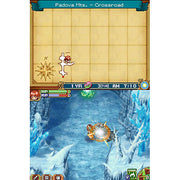 Rune Factory 2: A Fantasy Harvest Moon [Nintendo DS DSi] Nintendo DS DSi Video Game Natsume   