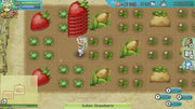 Rune Factory 4 Special - Archival Edition [Nintendo Switch] Nintendo Switch Video Game Marvelous!   