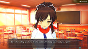 Senran Kagura Reflexions [Nintendo Switch] Nintendo Switch Video Game Limited Run Games   