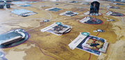 Eldritch Horror: Signs Of Carcosa Expansion [Board Game, 1-8 Players] Board Game Fantasy Flight Games   