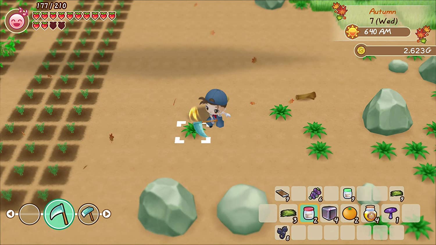 Story of Seasons: Friends of Mineral Town [Nintendo Switch] Nintendo Switch Video Game XSEED Games   