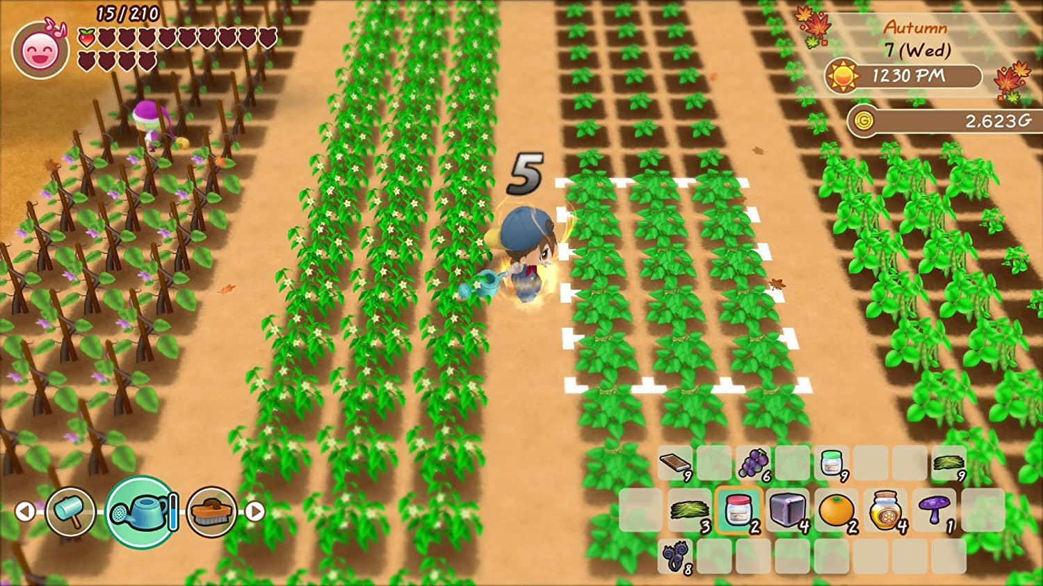 Story of Seasons: Friends of Mineral Town [Nintendo Switch] Nintendo Switch Video Game XSEED Games   