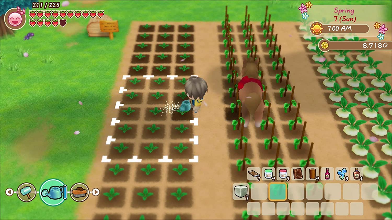 Story of Seasons: Friends of Mineral Town [Nintendo Switch] Nintendo Switch Video Game XSEED Games   