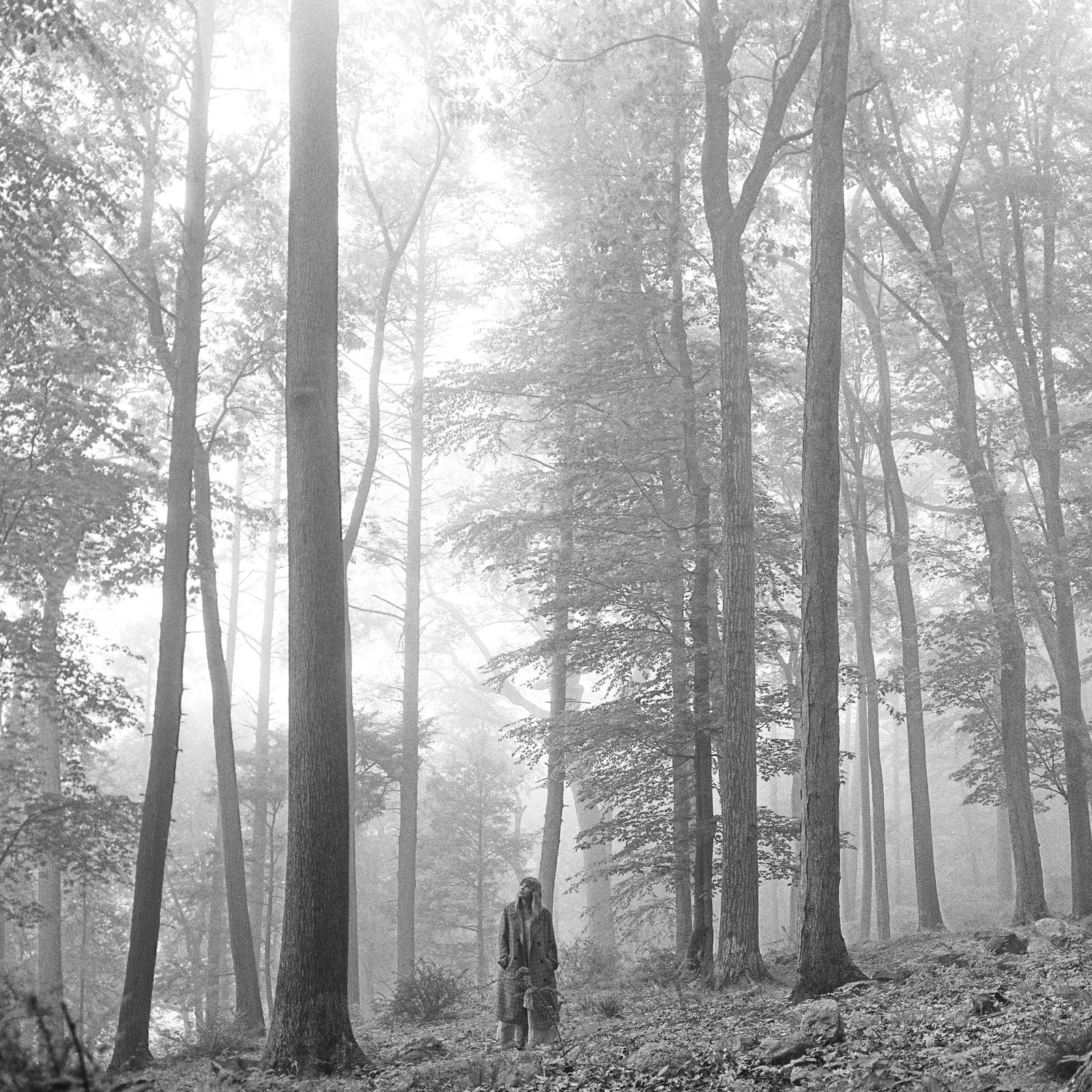 Taylor Swift - Folklore: In The Trees Edition Deluxe Vinyl [Audio Vinyl] Audio CD/Vinyl Republic Records   