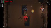 The Binding of Isaac: Afterbirth + [Nintendo Switch] Nintendo Switch Video Game Nicalis   