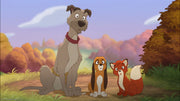 Disney's The Fox and the Hound + The Fox and the Hound 2 - 30th Anniversary Edition [Blu-Ray + DVD 2-Movie Collection] DVDs & Blu-Rays Disney   