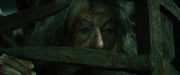 The Hobbit: The Desolation of Smaug 3D [3D + 2D Blu-ray + Digital] DVDs & Blu-Rays Warner Bros.   