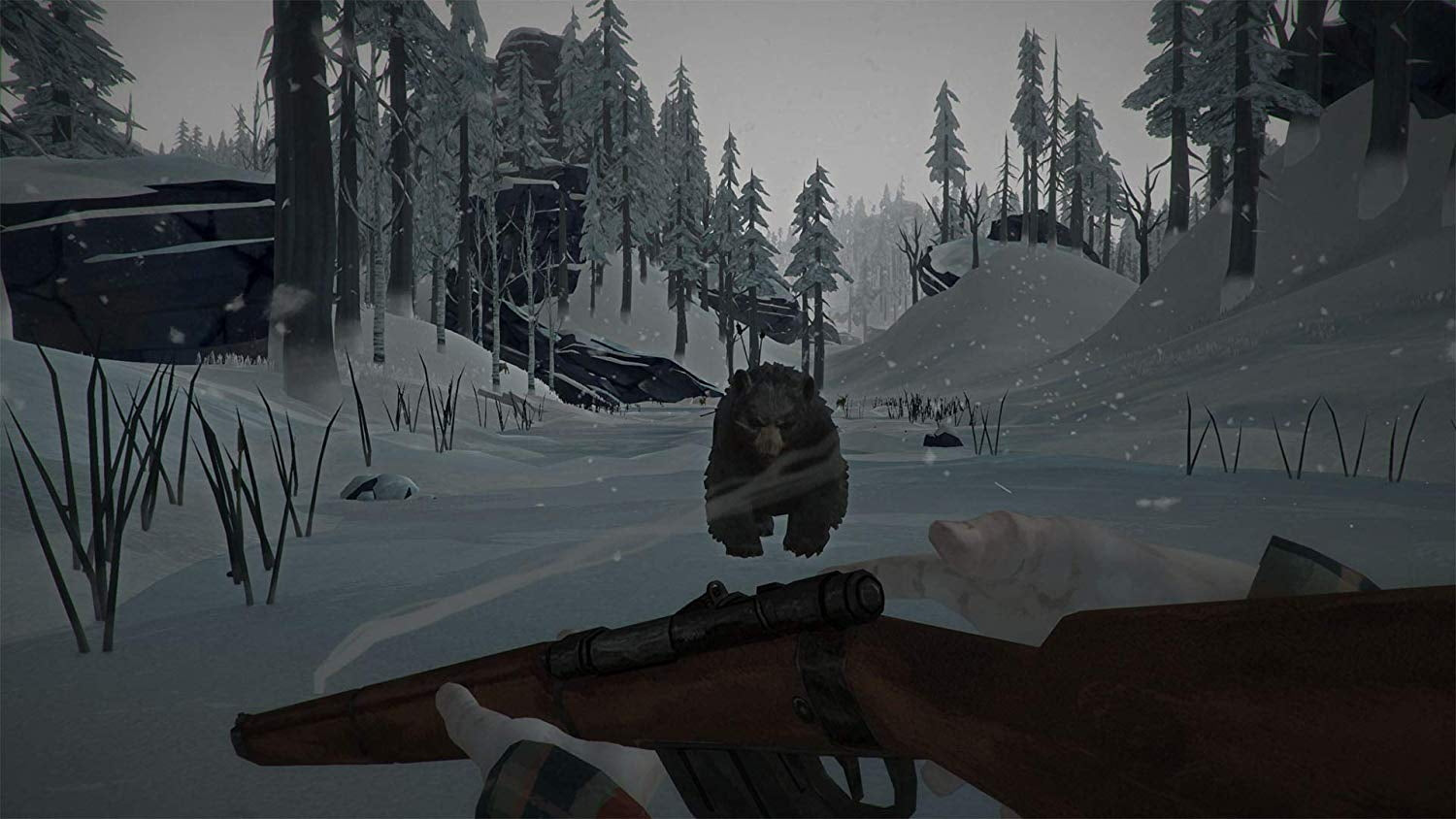 The Long Dark [PlayStation 4] PlayStation 4 Video Game SkyBound Games