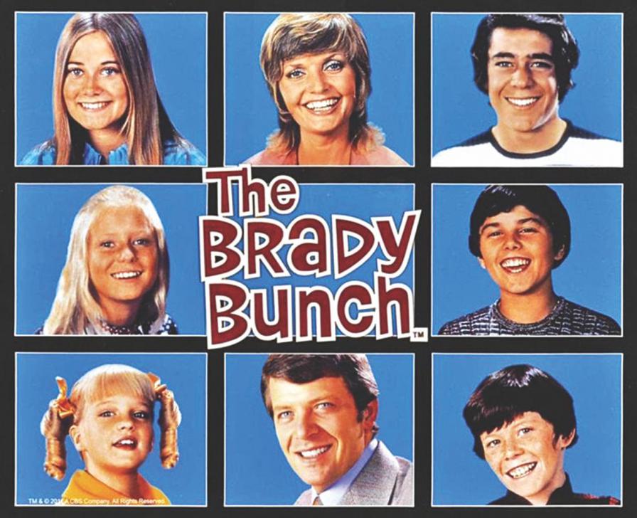 The Brady Bunch: The Complete Series w/ Shag Carpet Cover - Seasons 1-5 [DVD Box Set] DVDs & Blu-Rays Paramount Pictures   