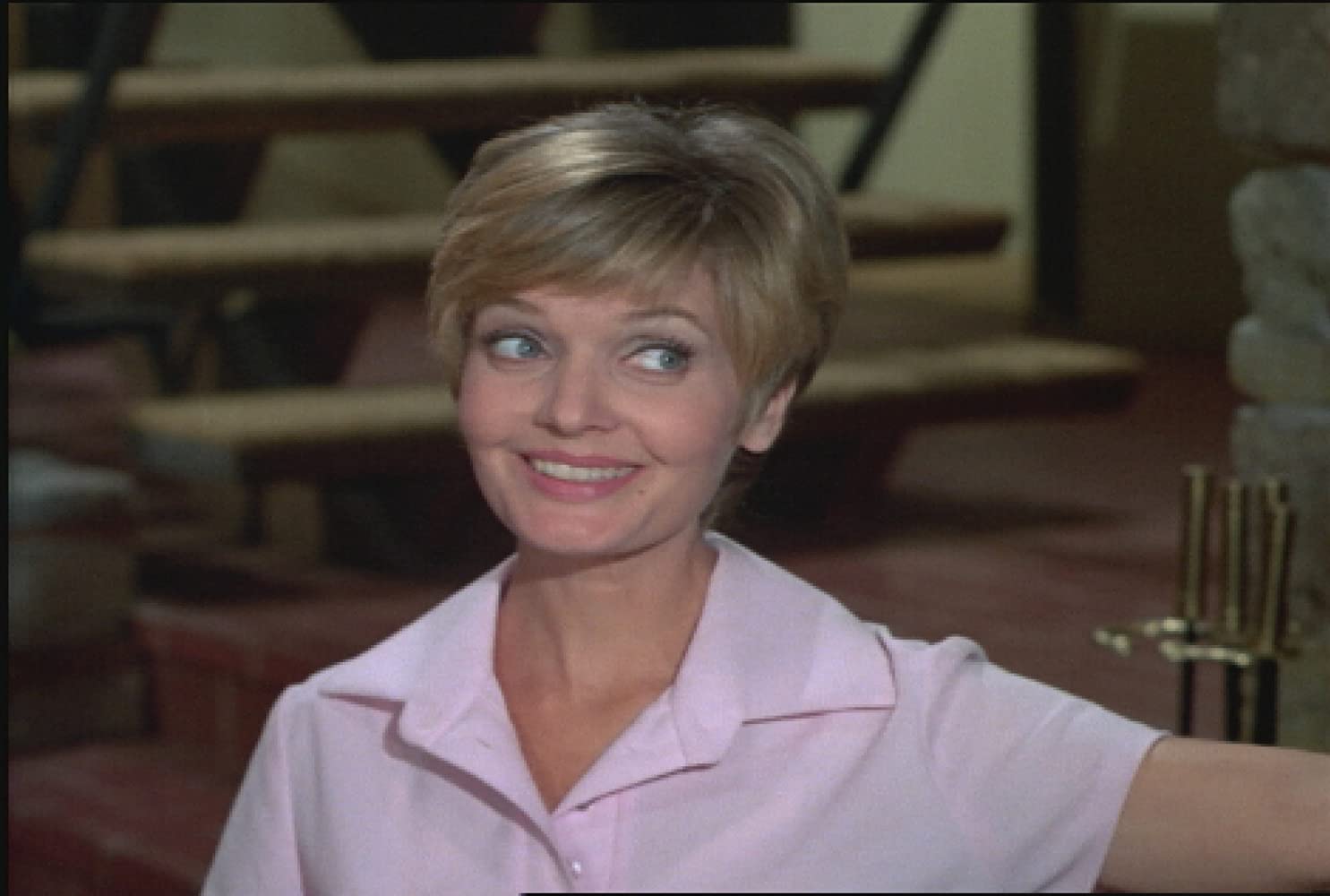 The Brady Bunch: The Complete Series w/ Shag Carpet Cover - Seasons 1-5 [DVD Box Set] DVDs & Blu-Rays Paramount Pictures   
