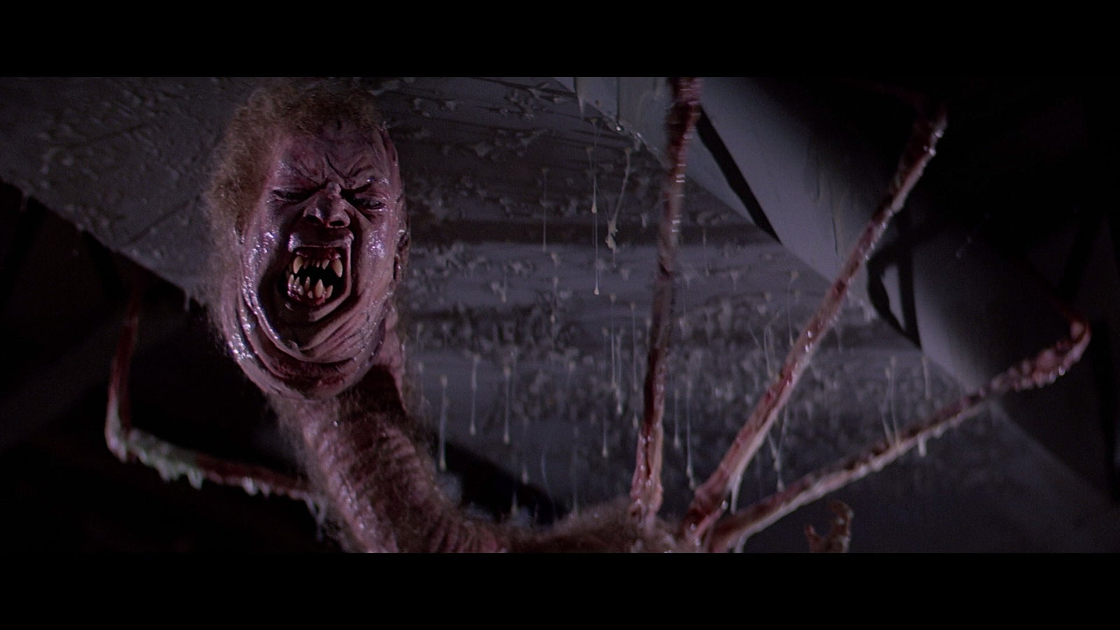 The Thing - Limited Collectors Edition 4K [Blu-ray + 4K UHD Box Set] DVDs & Blu-Rays Universal Studios   