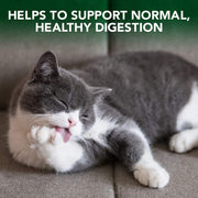 Vet's Best Hairball Relief Digestive Aid - 60 Chewable Tablets [Pet Care] House & Home Vet's Best   