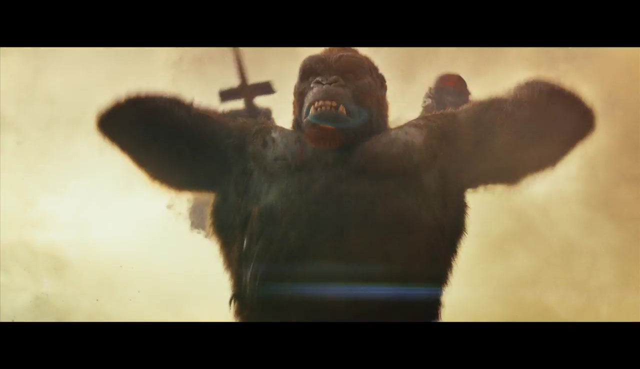 Kong: Skull Island [DVD] DVDs & Blu-Rays Warner Bros.   